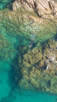 Snorkeling en Corse et Méditerranée
