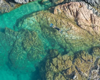 Snorkeling en Corse et Méditerranée