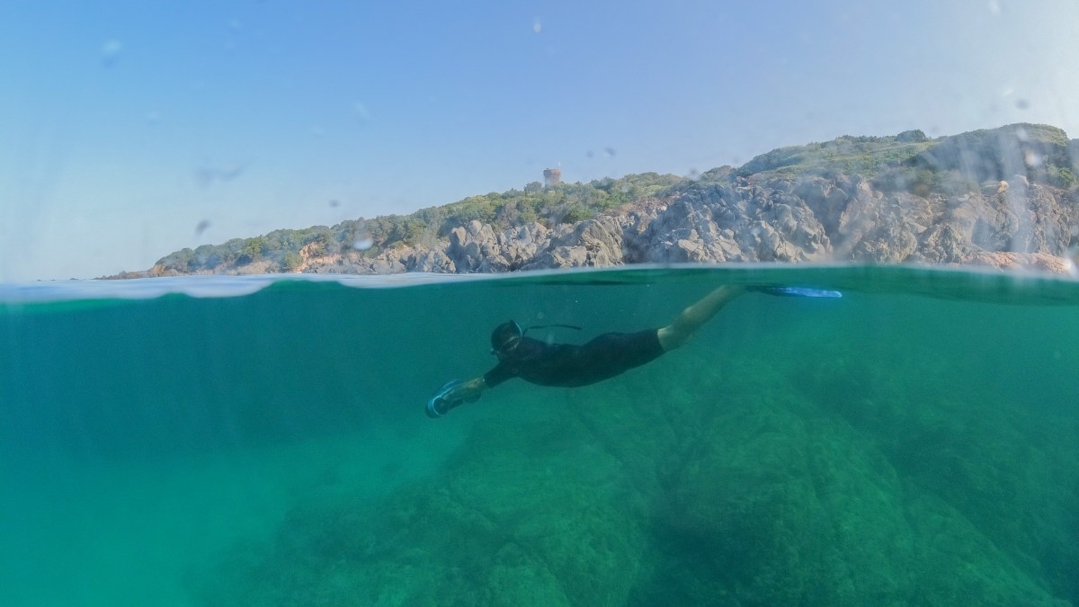 Snorkeling en Corse et Méditerranée