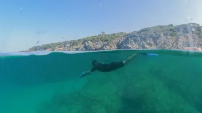 Snorkeling en Corse et Méditerranée