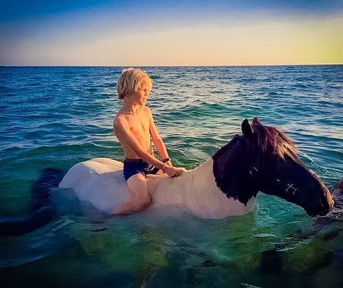 Balade à Cheval à Cupabia