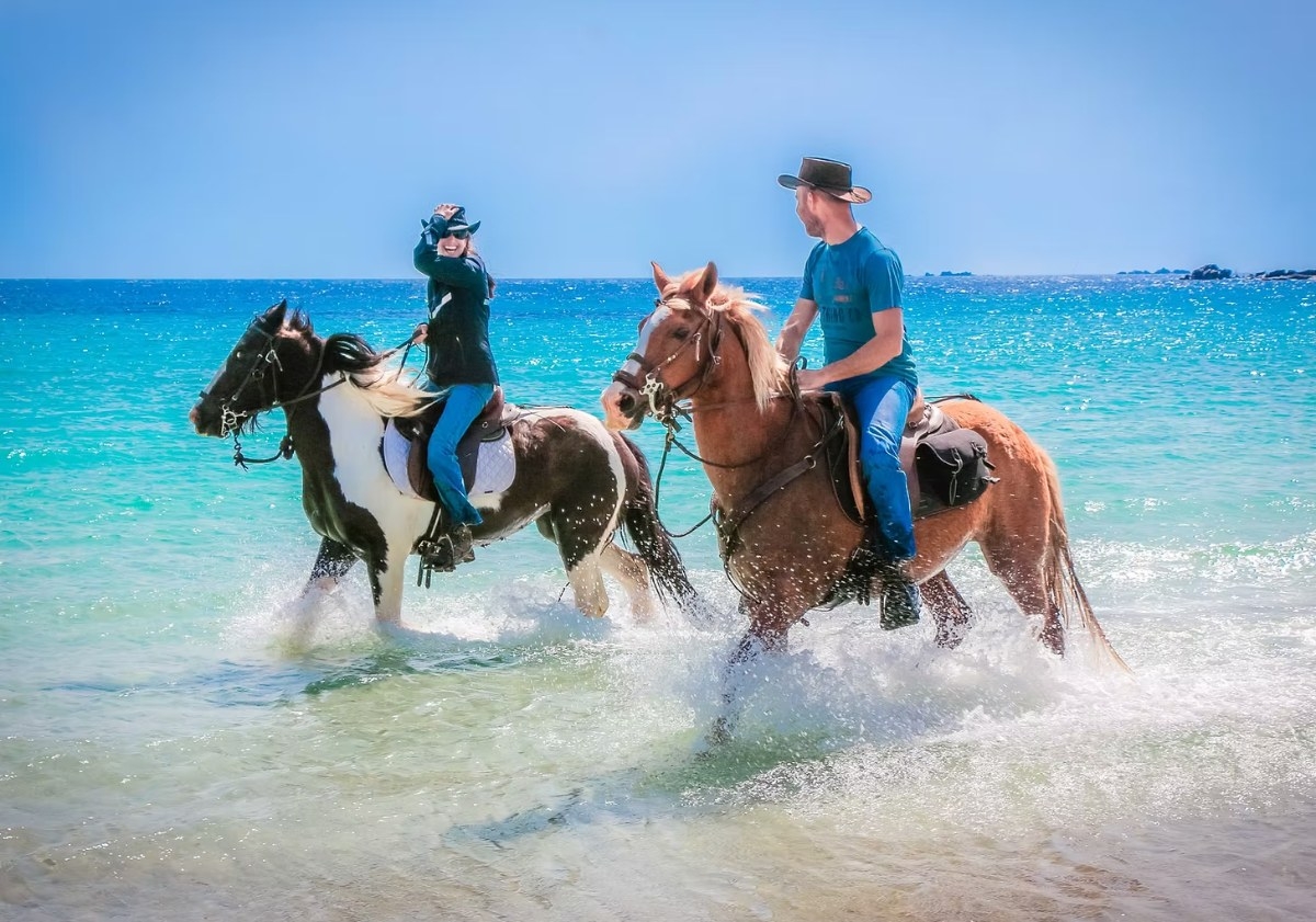 Balade à Cheval à Cupabia