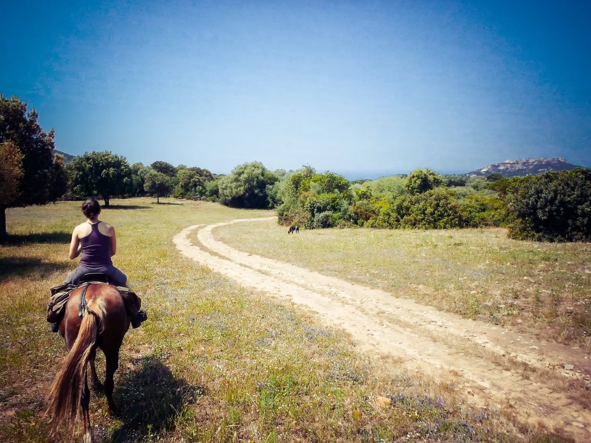Randonnée à cheval dans la Vallée de l'Ortolo