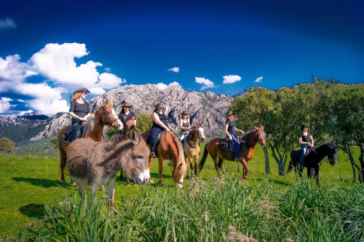 Randonnée à cheval dans la Vallée de l'Ortolo