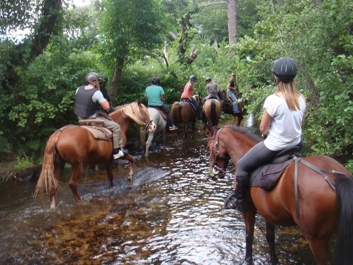 Randonnée à cheval dans la Vallée de l'Ortolo