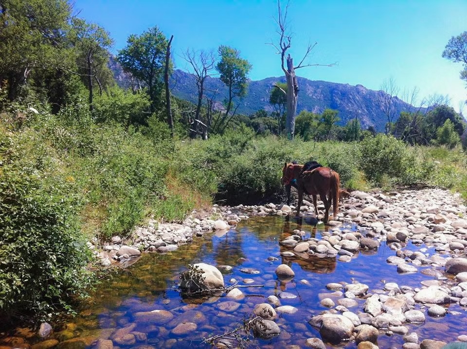 Randonnée à cheval dans la Vallée de l'Ortolo