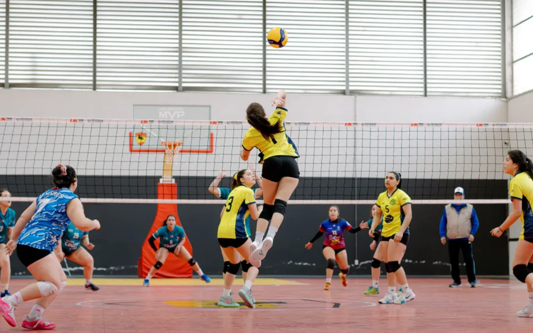 Volley Ball Montesson Club (VBMC)
