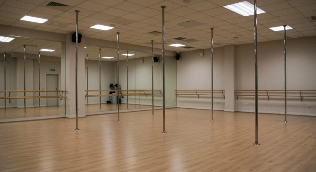 Pole Dancing Studio
