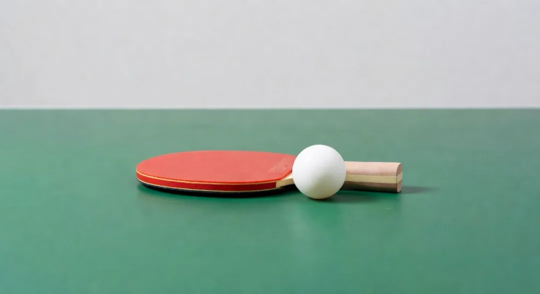 SPORTING CLUB NEGREPELISSIEN SECTION TENNIS DE TABLE ET BADMINTON