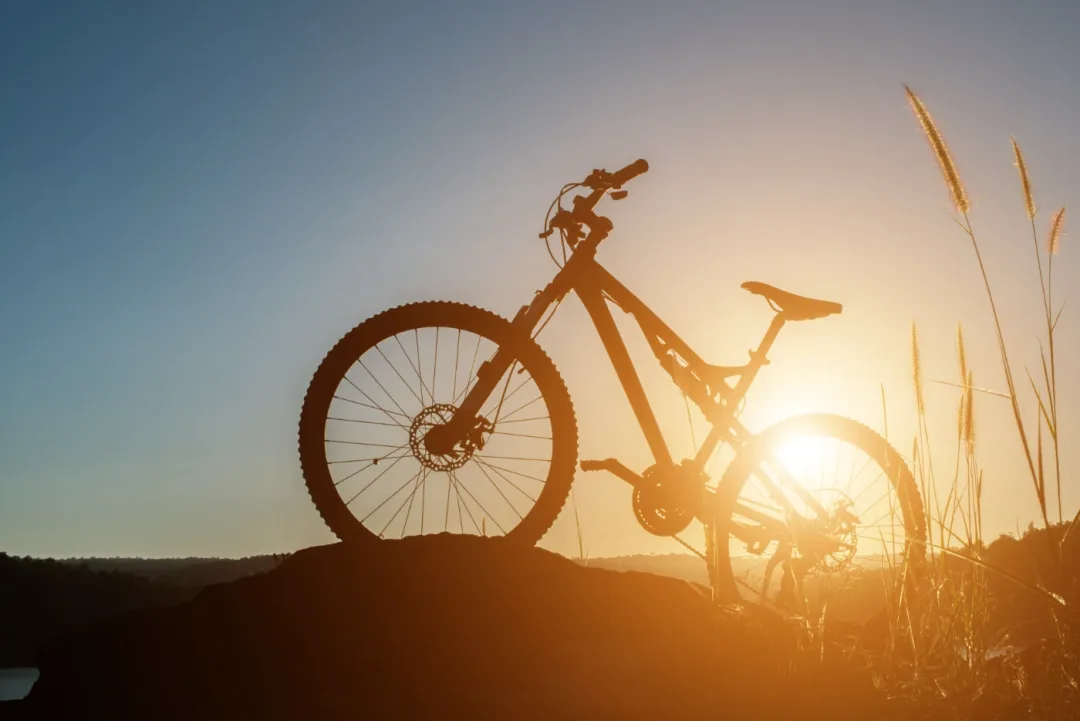 Francky Bike