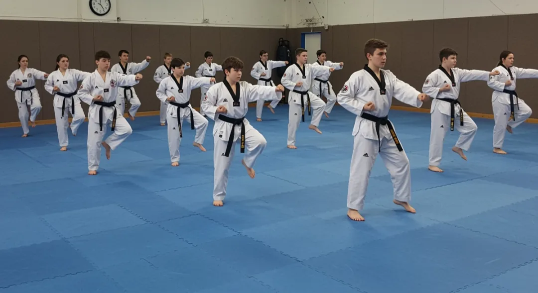 MB Taekwondo Académie